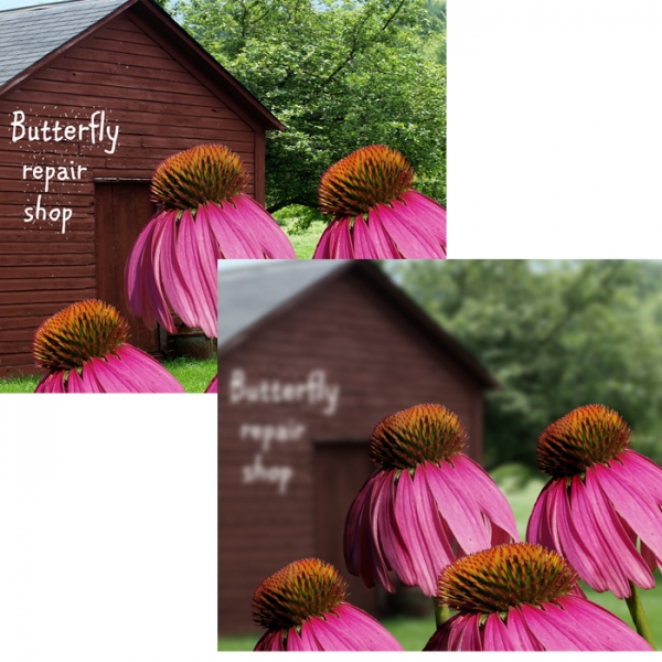 Creation of Butterfly Repair: Step 13